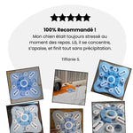 Charger l'image dans la galerie, Gamelle Anti-Glouton avec avis client, recommandée pour réduire le stress pendant les repas de chien.