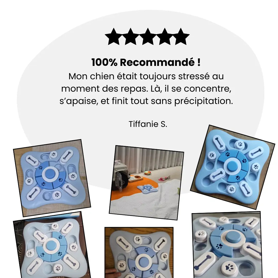 Gamelle Anti-Glouton avec avis client, recommandée pour réduire le stress pendant les repas de chien.