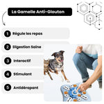 Charger l&#39;image dans la galerie, Image illustrating features of the Gamelle Anti-Glouton with dog and cat, highlighting healthy feeding and interactive design.
